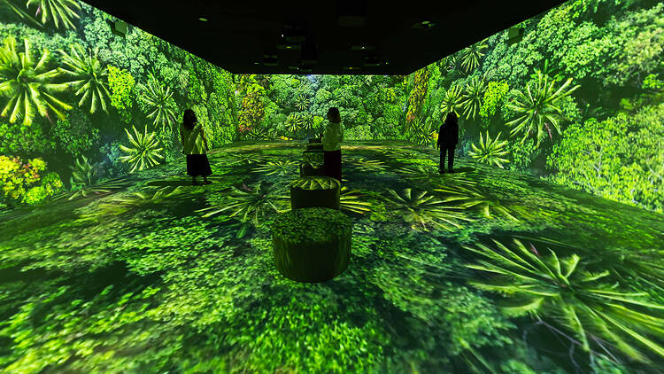 Somos Naturaleza (CaixaForum). 