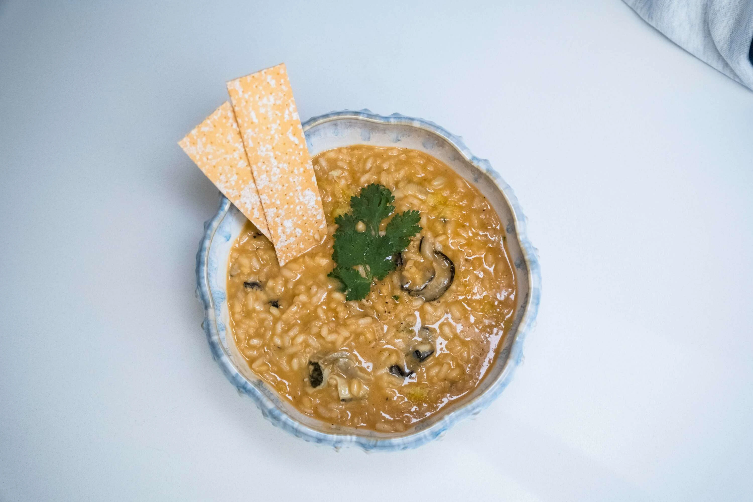 Ostra Lisboa