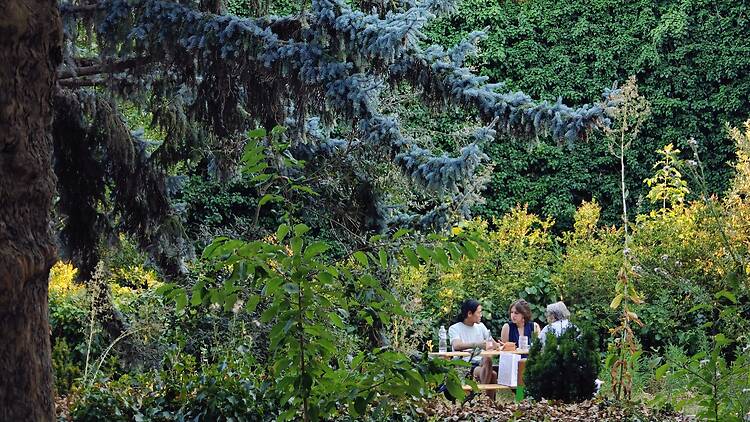Se poser dans l'un des jardins les plus secrets de Paris