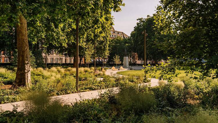 Mayfair's Grosvenor Square has received a biodiversity upgrade Mayfair's Grosvenor Square has received a biodiversity upgrade