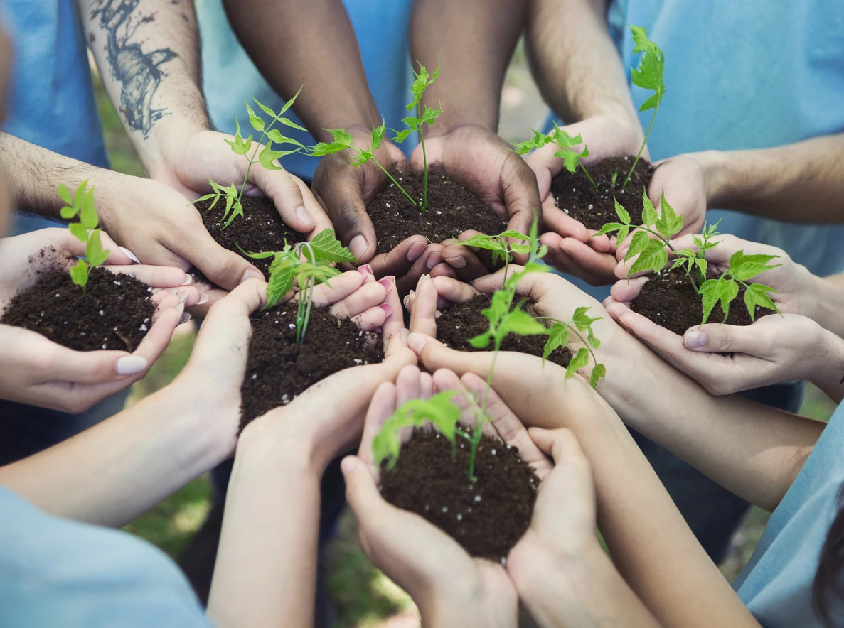 Group of volunteer with sprout for growing, ecology concept, copy space