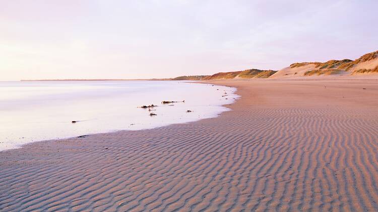 Beach near Alnwick, Northumberland Beach near Alnwick, Northumberland