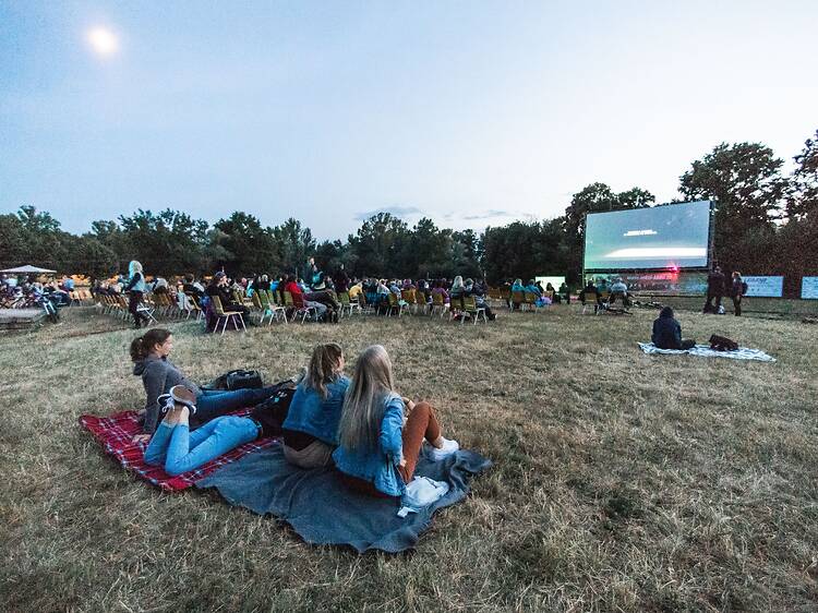 Os melhores ciclos de cinema ao ar livre no Porto e arredores Os melhores ciclos de cinema ao ar livre no Porto e arredores