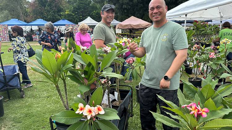 People shop for plants at the Plumeria Festival.