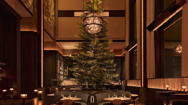 Inside of Bar Chimera with a pine tree