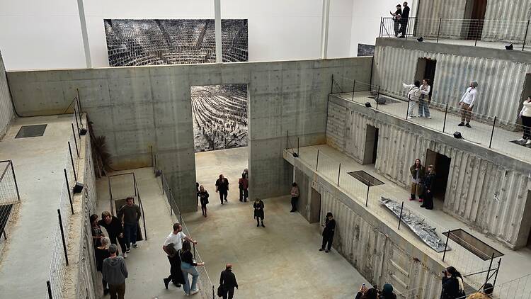 Get lost at MONA