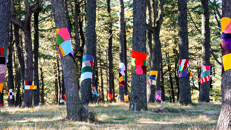 Rug up for Winter in the Woods Rug up for Winter in the Woods