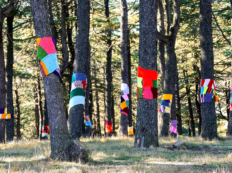 Rug up for Winter in the Woods Rug up for Winter in the Woods
