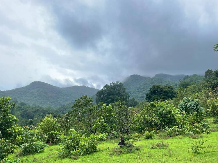 I visited Goa's most underrated wildlife sanctuary, and it was nothing like I expected