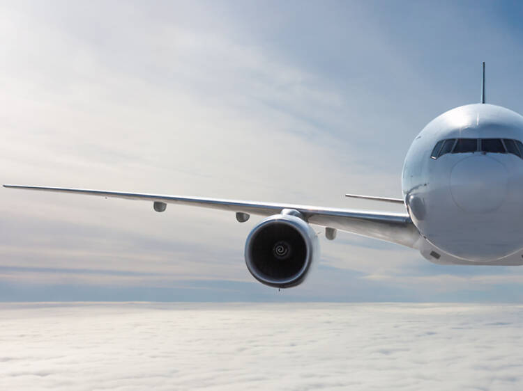 United launches new Economy Plus seats with extra space for travellers