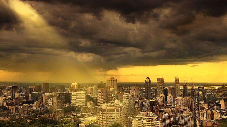 Storm Storm