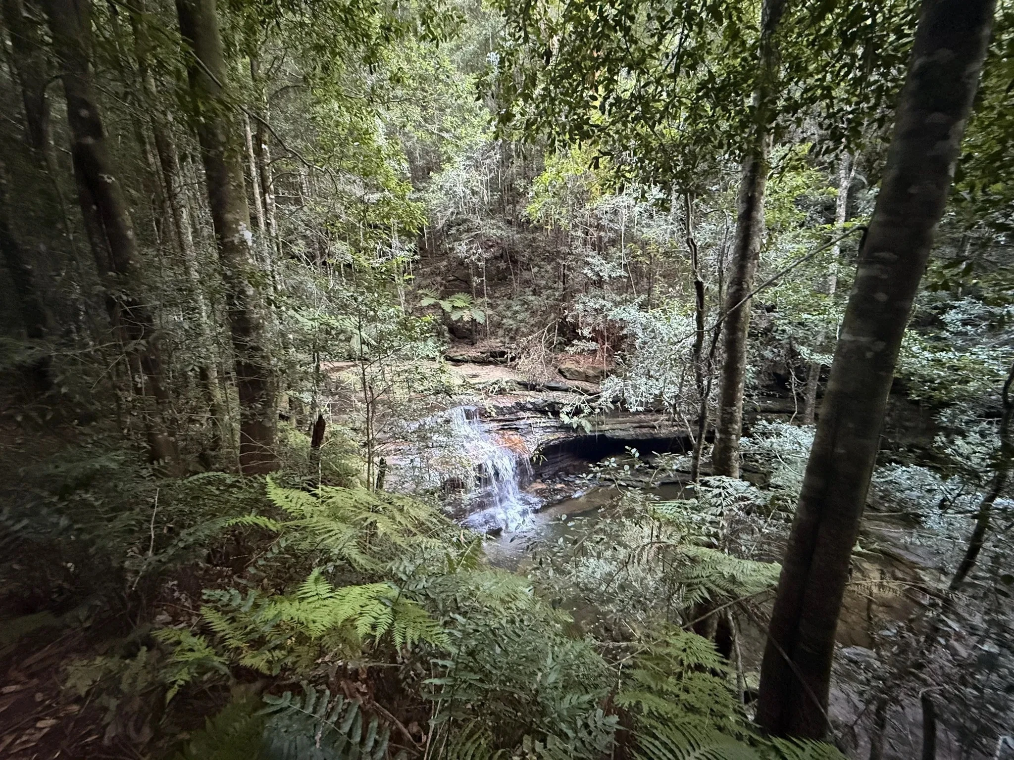 Terrace Falls track