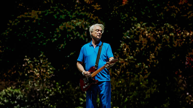 David Byrne