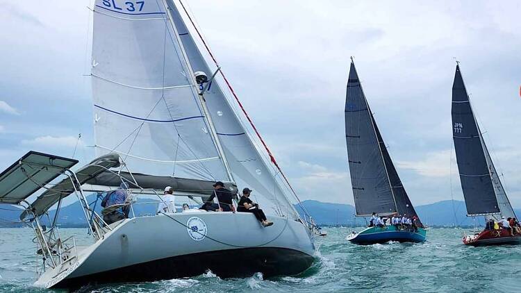 Watch the racing at Phuket Yacht Club Watch the racing at Phuket Yacht Club