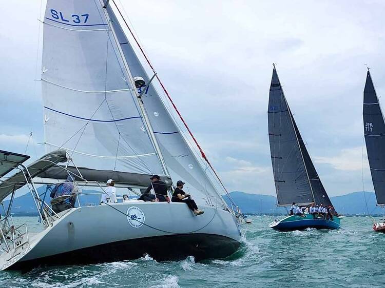 Watch the racing at Phuket Yacht Club Watch the racing at Phuket Yacht Club