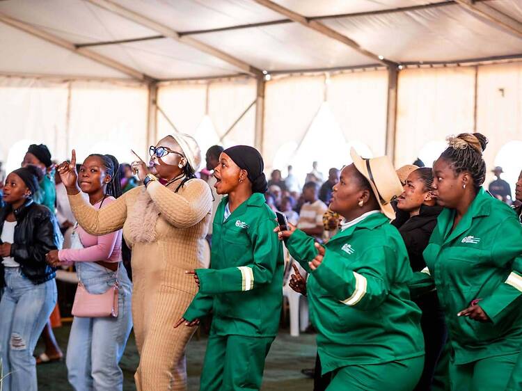 KZN launches R73m green jobs programme to tackle invasive plants