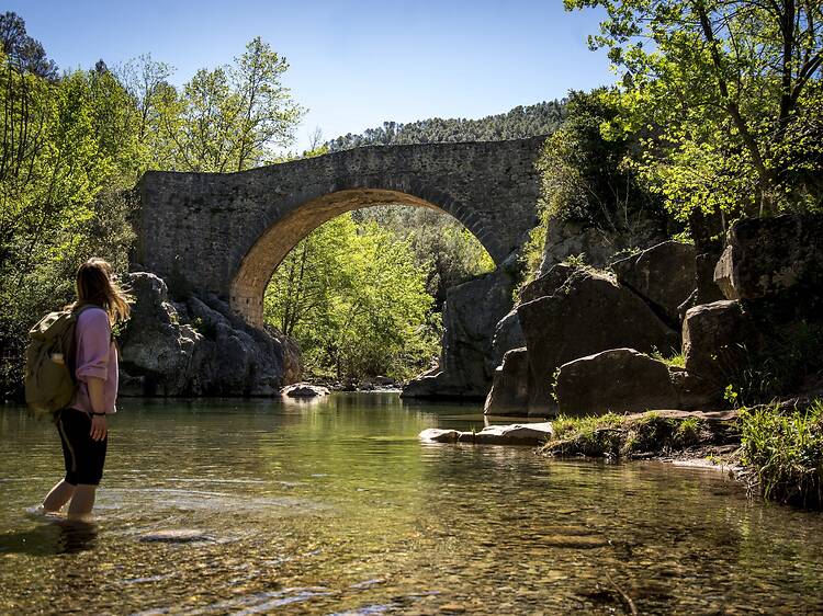 Dos planassos en plena natura i a prop de Barcelona per abraçar la tardor