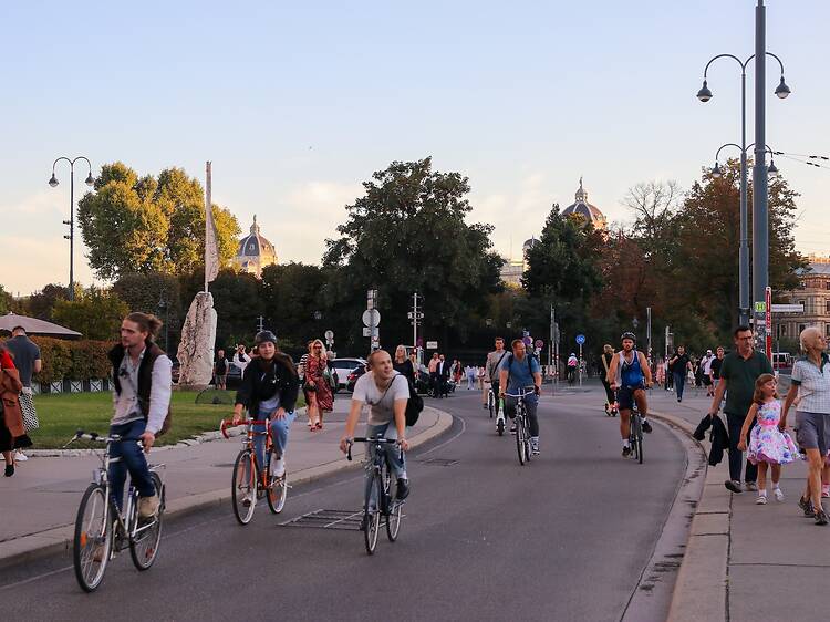 Vienna Vienna
