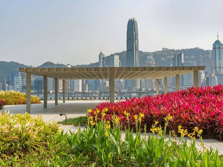 M+ Roof Garden M+ Roof Garden