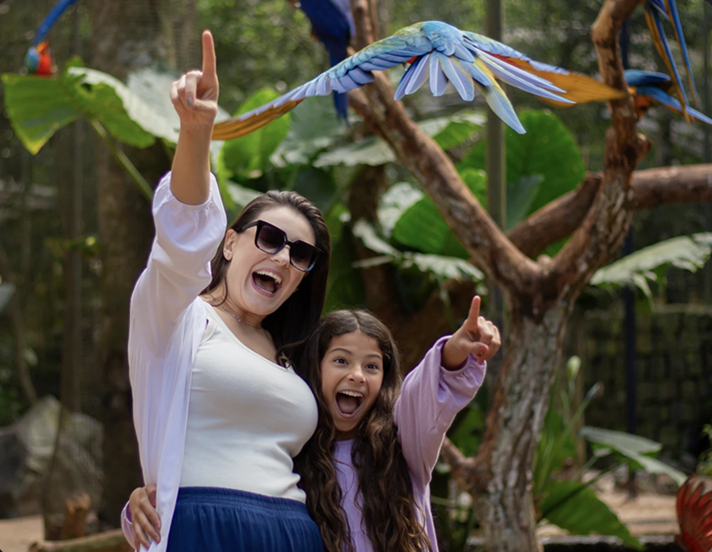 parque-das-aves