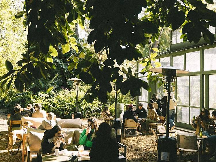 Casa Futuro: For a Deep Conversation in a Relaxed Setting Casa Futuro: For a Deep Conversation in a Relaxed Setting