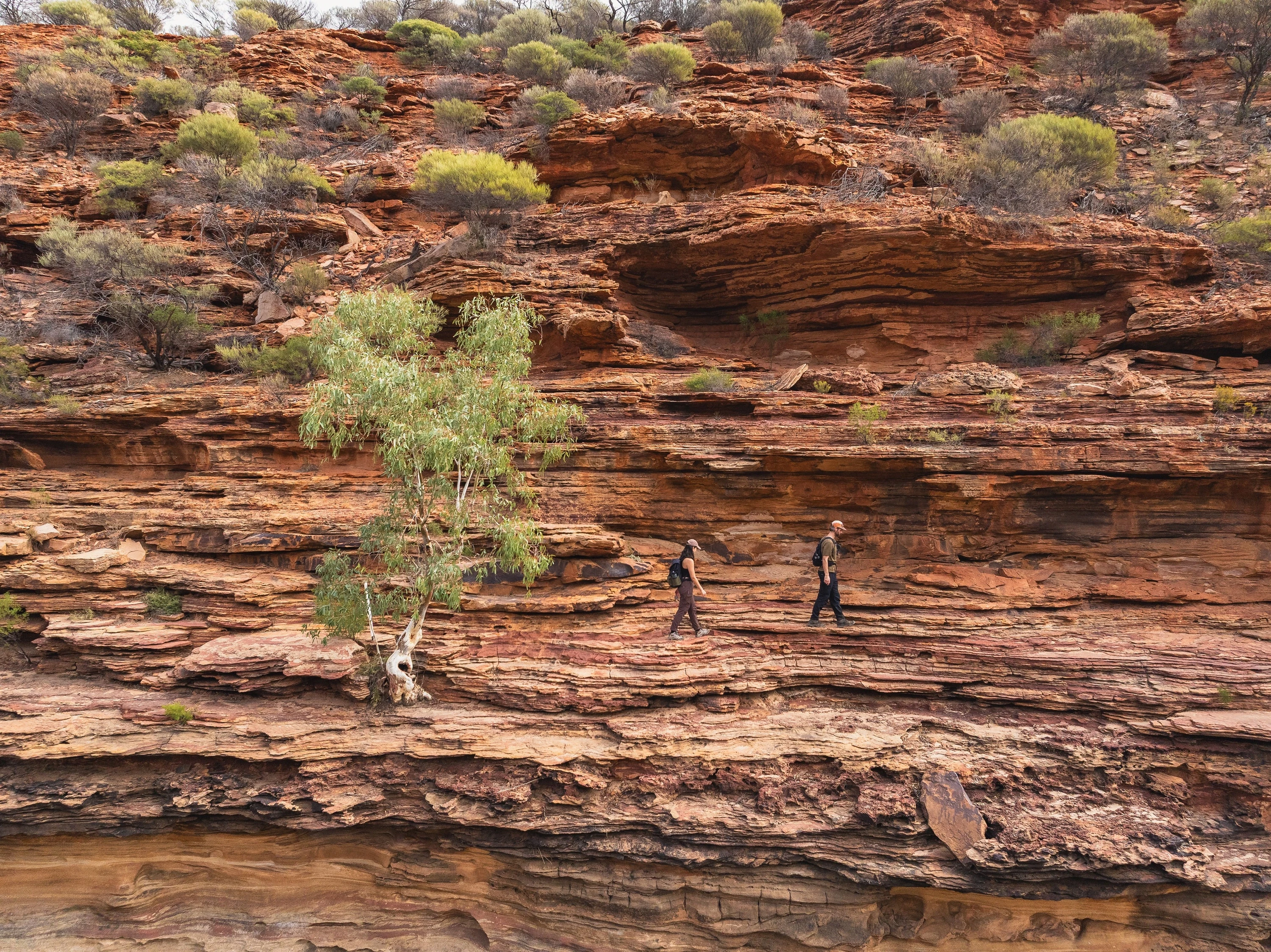 The Loop, Kalbarri National Park