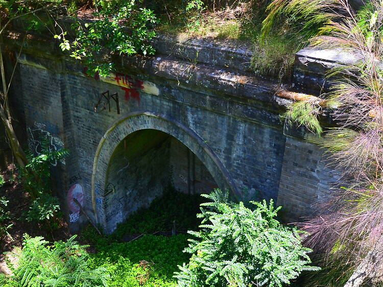 This magical tunnel in the Blue Mountains is opening to the public for three days only This magical tunnel in the Blue Mountains is opening to the public for three days only
