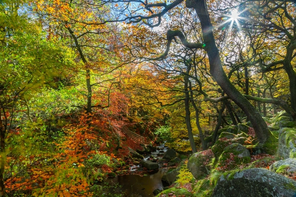  Burbage Brook