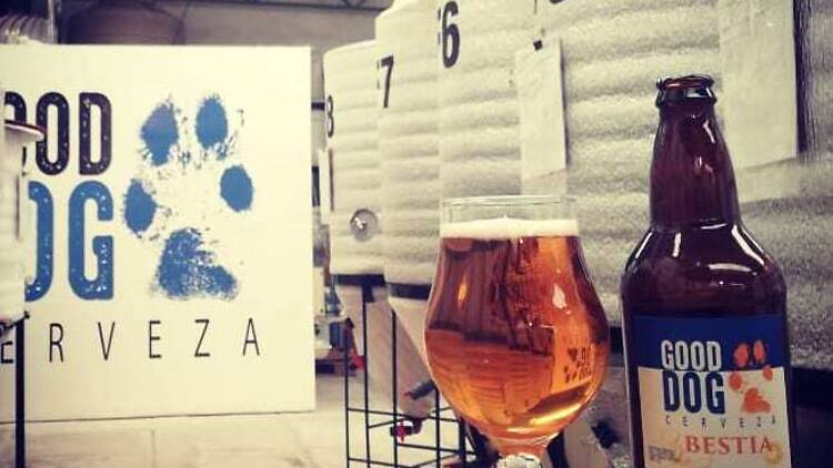 Good Dog Cerveza: Una de las pioneras de la revolución craft mendocina