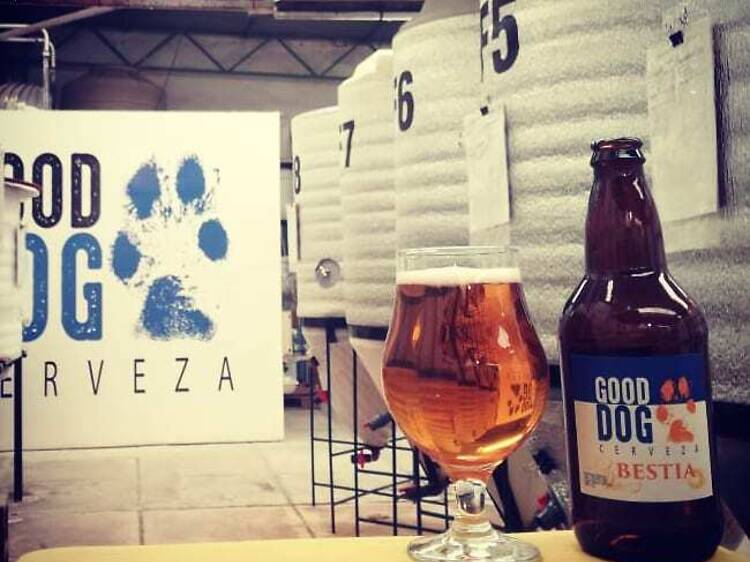 Good Dog Cerveza: Una de las pioneras de la revolución craft mendocina