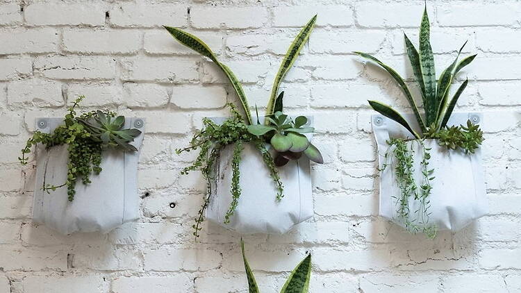 A wide shot of potted plants hanging on a white brick wall. A wide shot of potted plants hanging on a white brick wall.
