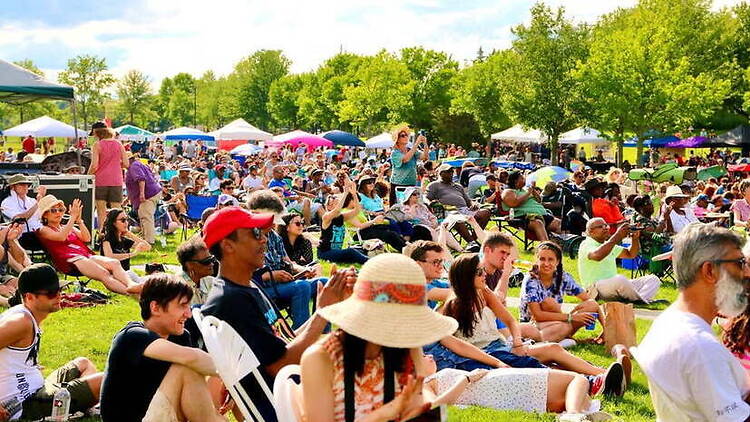 11th Annual Cambridge Jazz Festival 11th Annual Cambridge Jazz Festival
