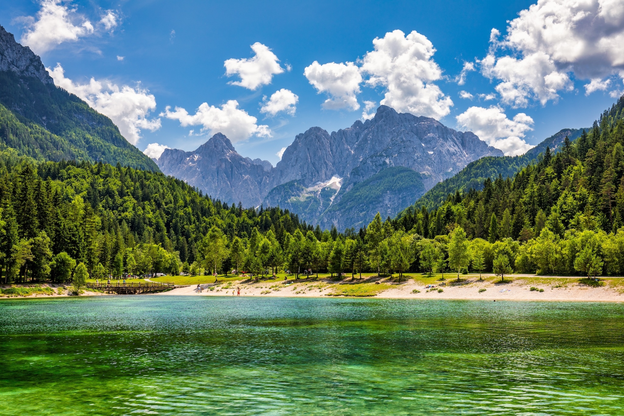 Brand-New 3,494km Wolf Trail Crosses Poland, Germany, Austria and Italy, Canada Reviews Brand-New 3,494km Wolf Trail Crosses Poland, Germany, Austria and Italy, Canada Reviews