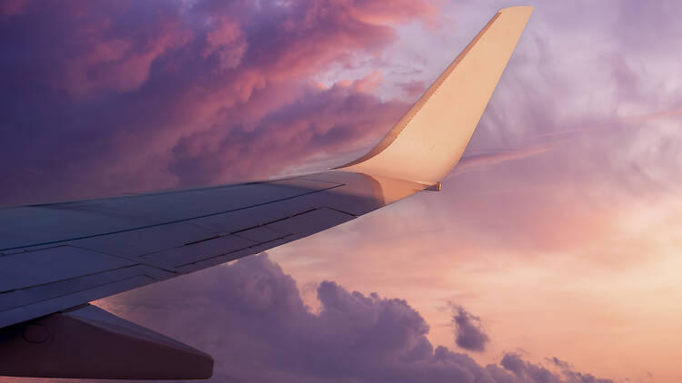 View of the wing of a flying airplane in the purple clouds of the setting sun Airplane wing