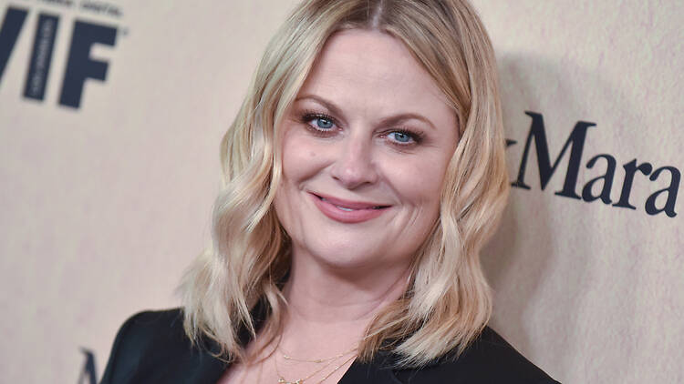 Amy Poehler Amy Poehler