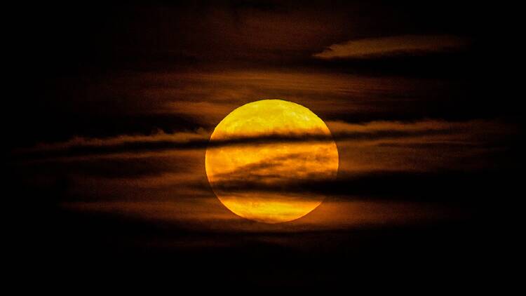 Buck Moon Orange moon in dark sky