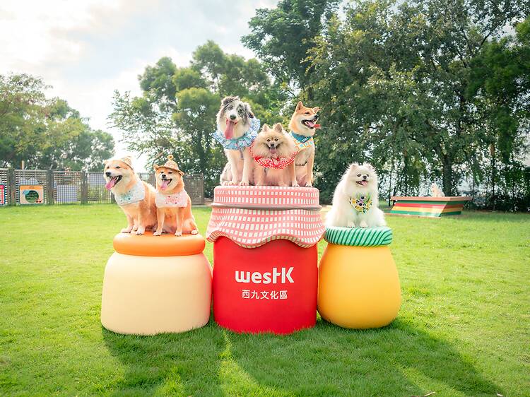 The best dog parks and gardens in Hong Kong