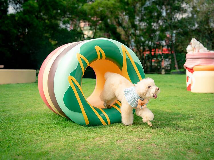 West Kowloon Art Park West Kowloon Art Park