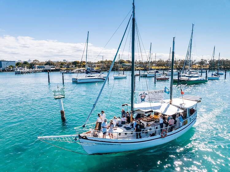 Go on a sunset sail with Saltwater Eco Tours Go on a sunset sail with Saltwater Eco Tours