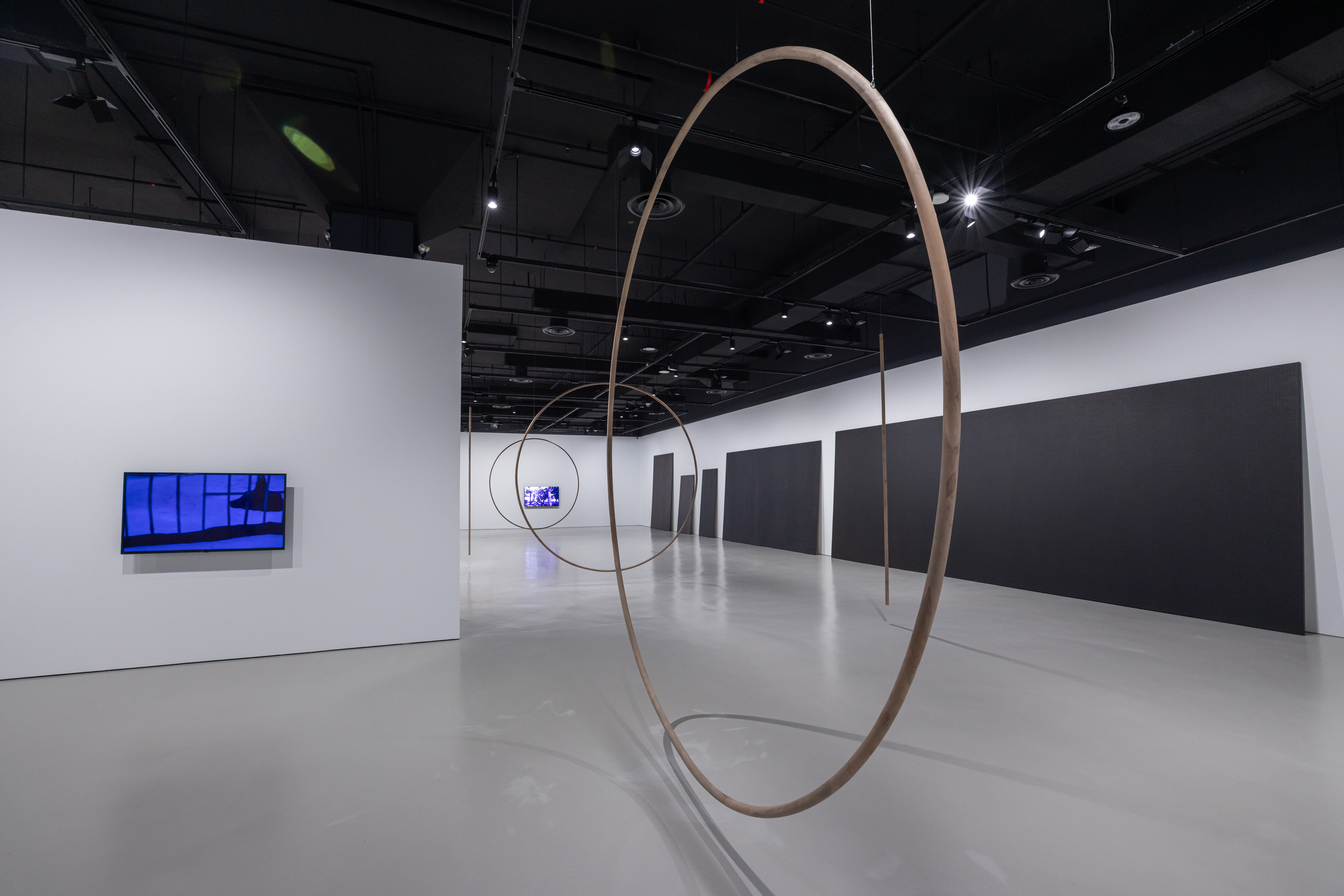 Maria Taniguchi: Afterimage