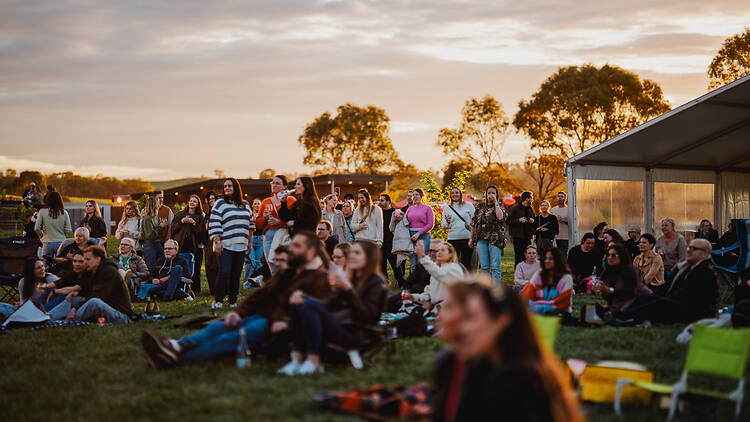 Comedy in the Vines people sitting and standing on grass for a festival
