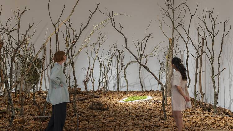 Take a look at Ana Mendieta’s art in the largest display of her work in the UK to date Take a look at Ana Mendieta’s art in the largest display of her work in the UK to date