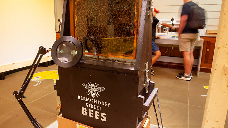 The Power of Honey at Bank of England Museum The Power of Honey at Bank of England Museum