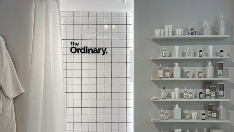 The Ordinary The Ordinary