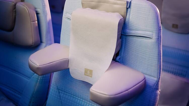 U-Dream headrest on Emirates economy flight U-Dream headrest on Emirates economy flight