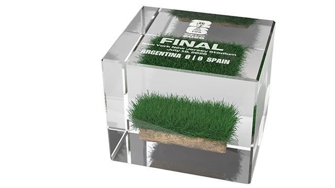 World Cup turf, for sale.