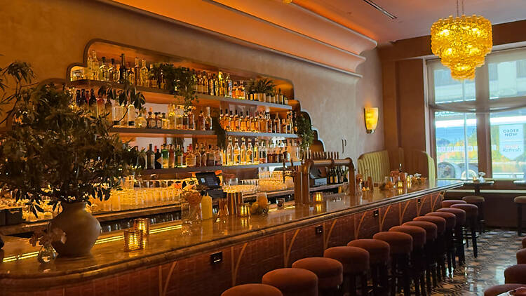 Primrose Bar LMS