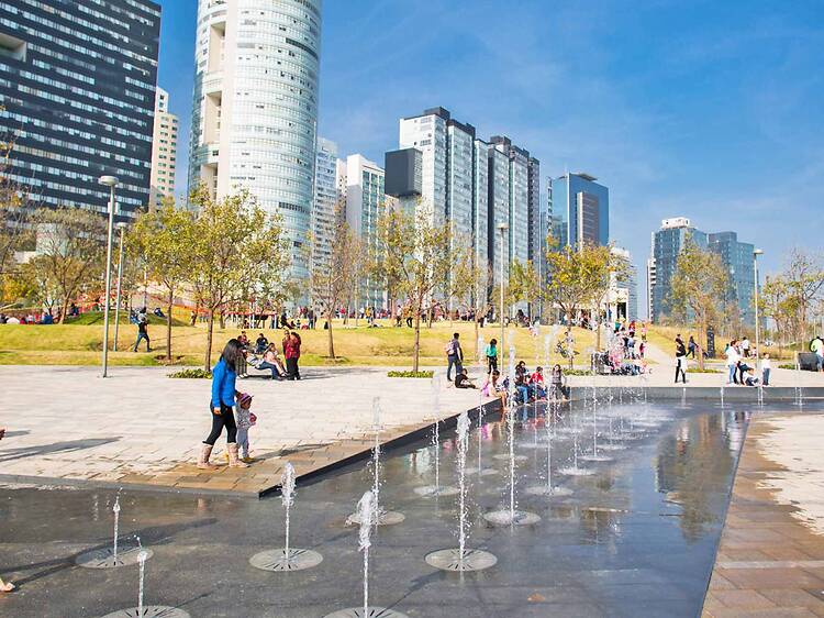 Zona canina del Parque La Mexicana