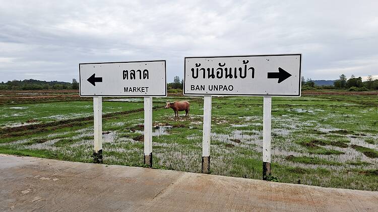 Time Out Thailand