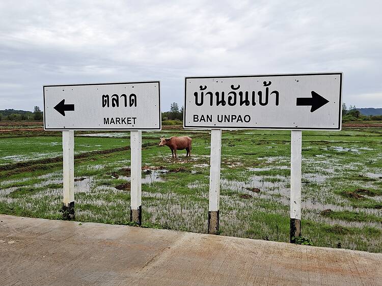 Time Out Thailand Time Out Thailand